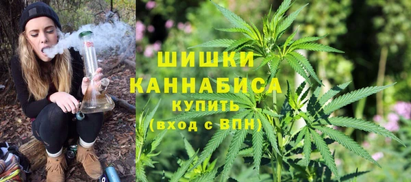 PSILOCYBIN Верхний Тагил